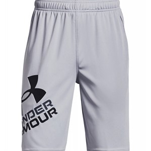 UA Prototype 2.0 Logo Shorts